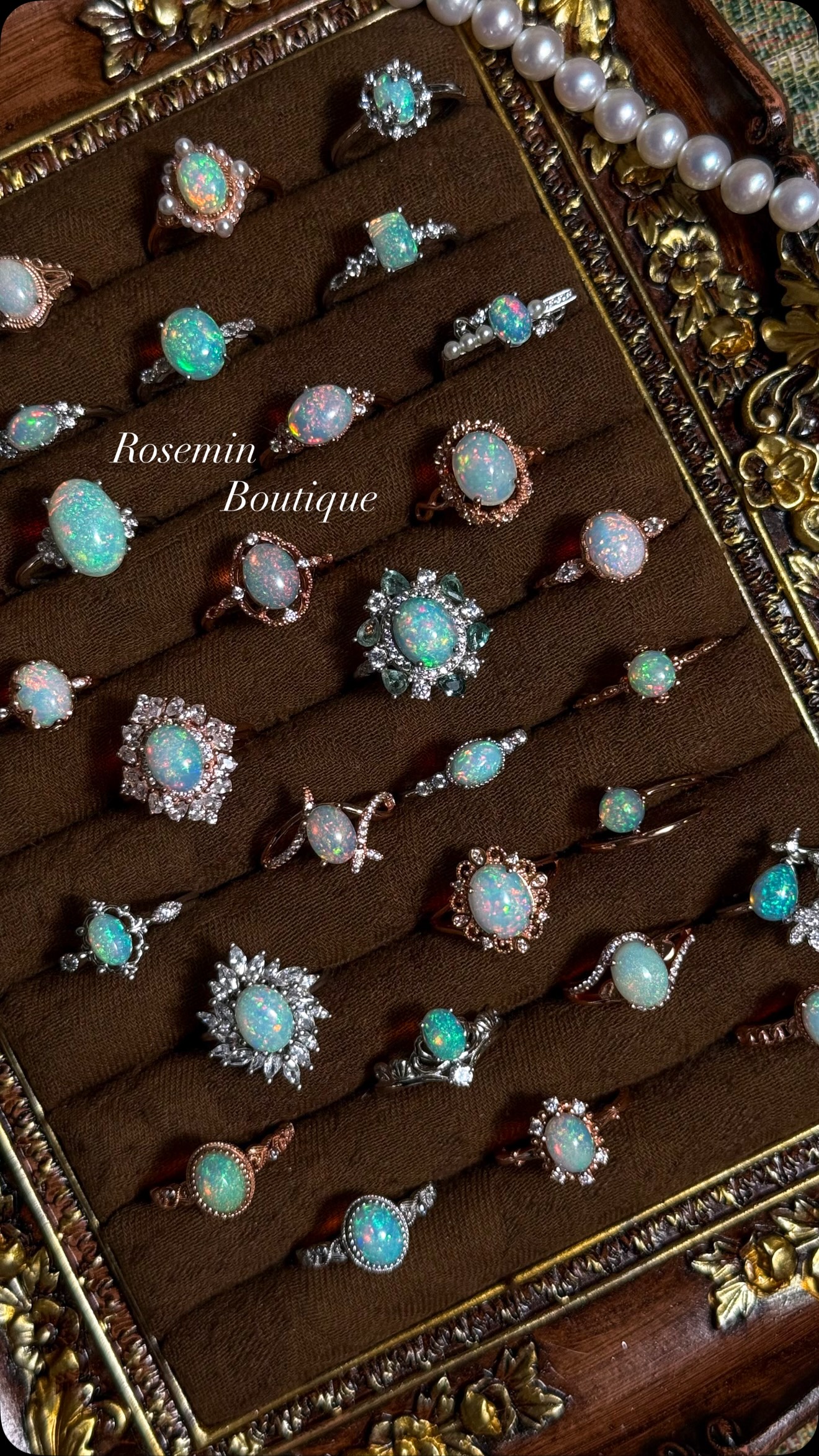 540109812 17913960723187970 7301694010040840952 n